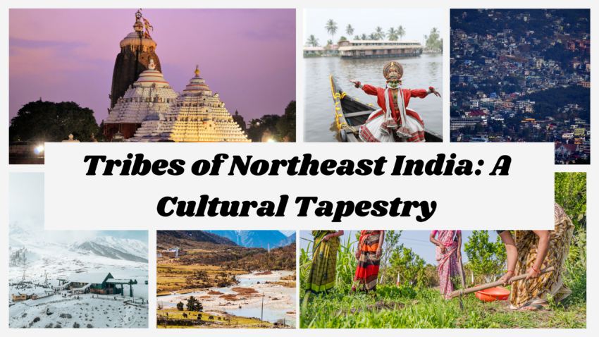 Hidden Heritage: Northeast India's Tribal Cultures